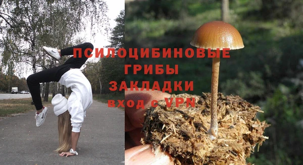 спиды Лагань