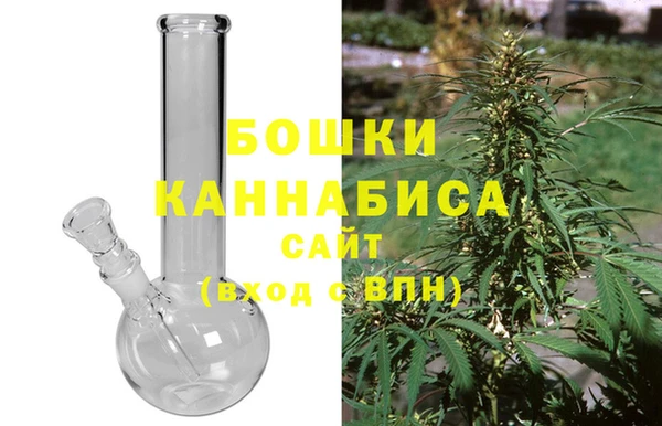 бошки Ладушкин