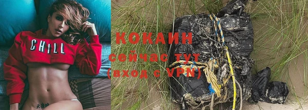 бошки Ладушкин