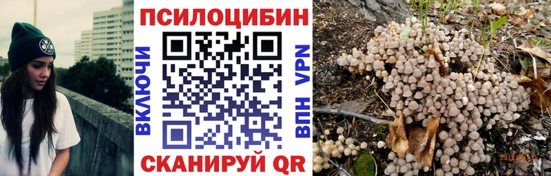 Псилоцибиновые грибы ЛСД Вытегра