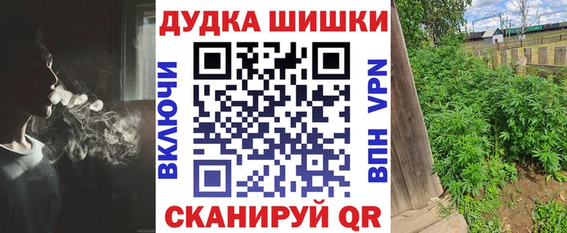 Купить закладки  Вытегра  Бошки Шишки White Widow 